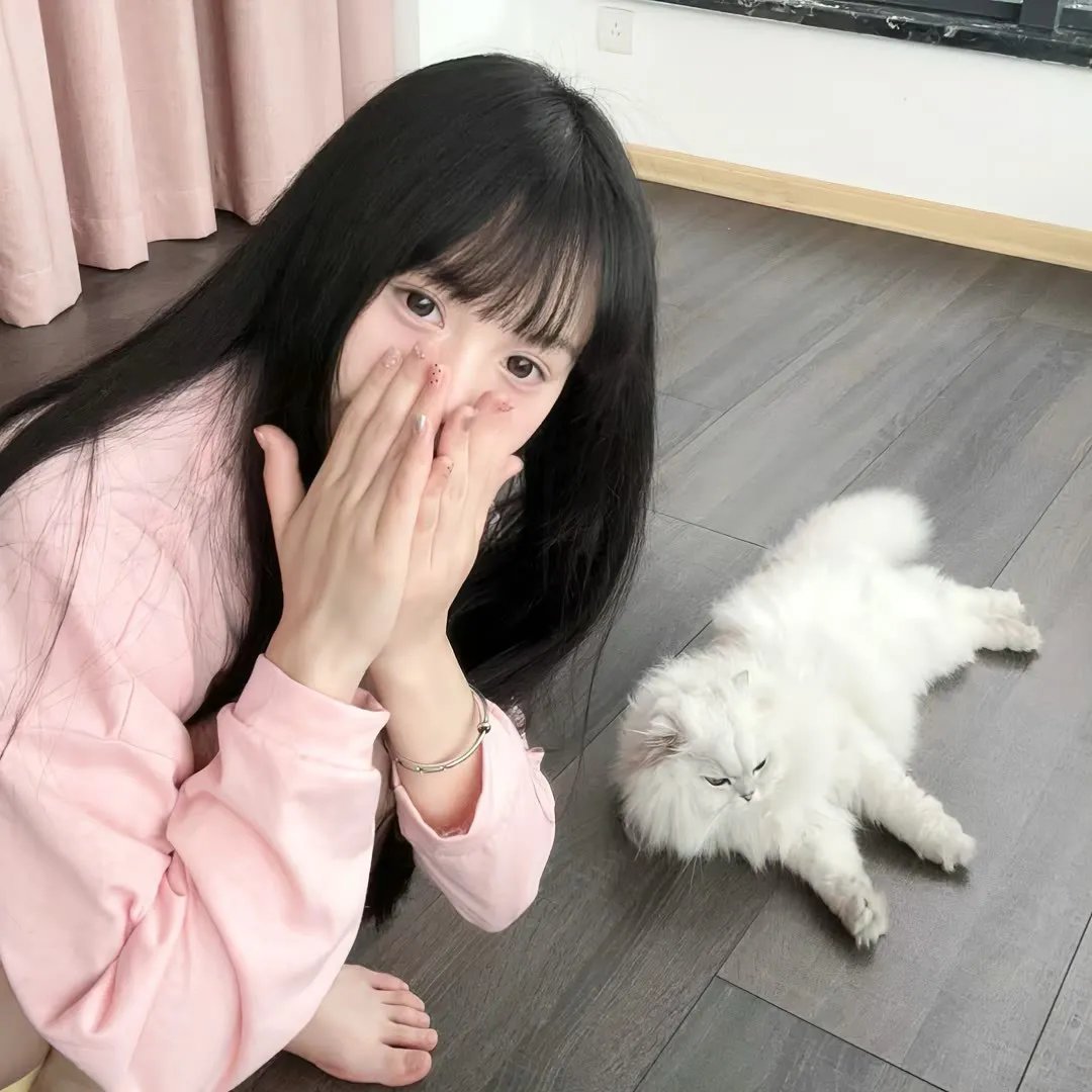 极秘搜查